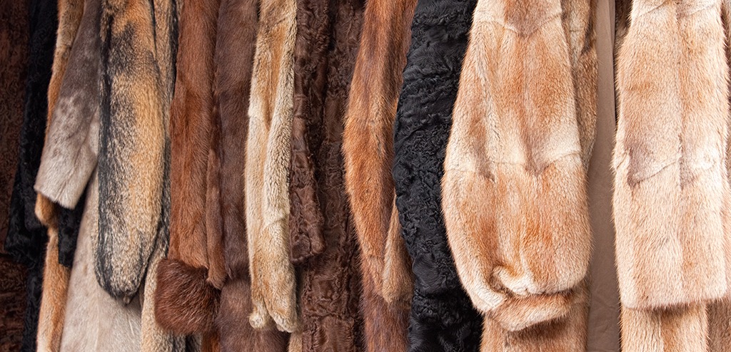 Syl-Lee Fur Coat Grouping